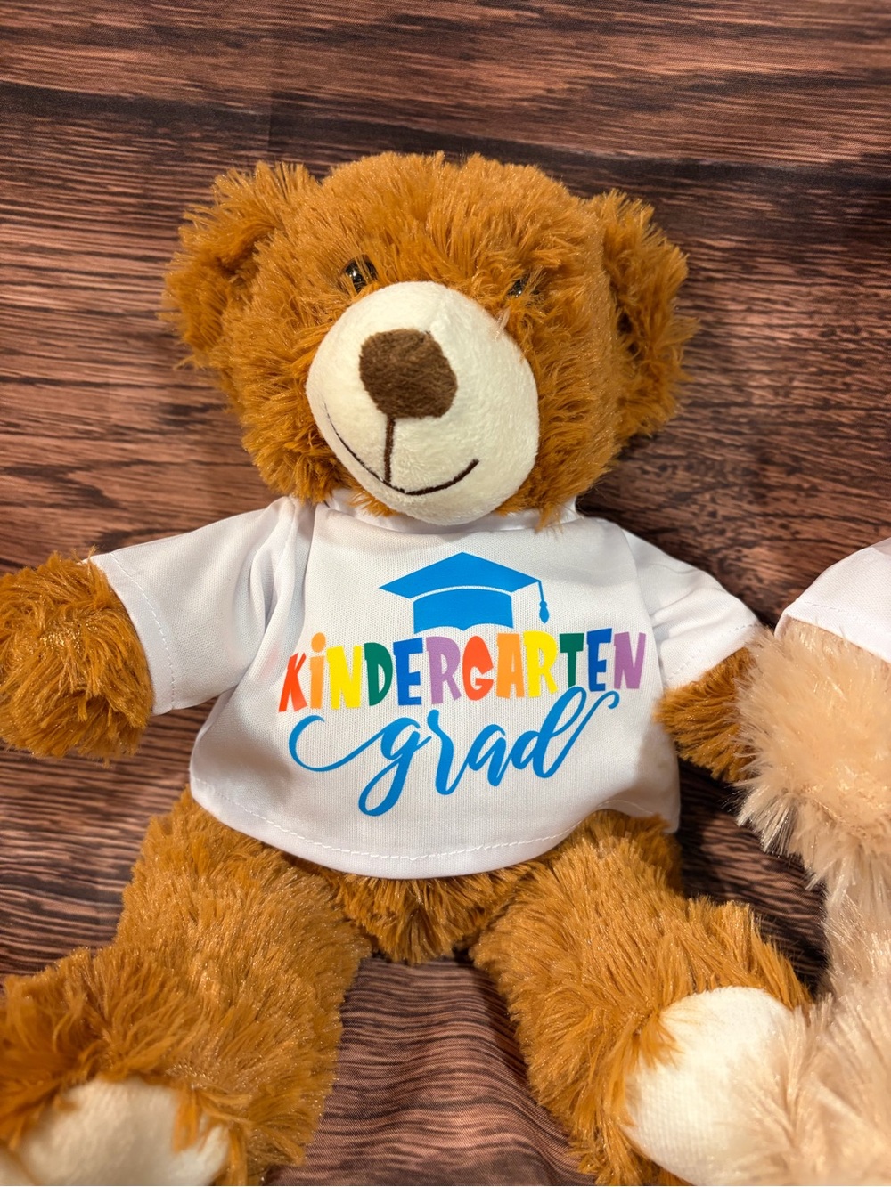 Brown Teddy Bear Wearing "Kindergarten Grad" T-Shirt